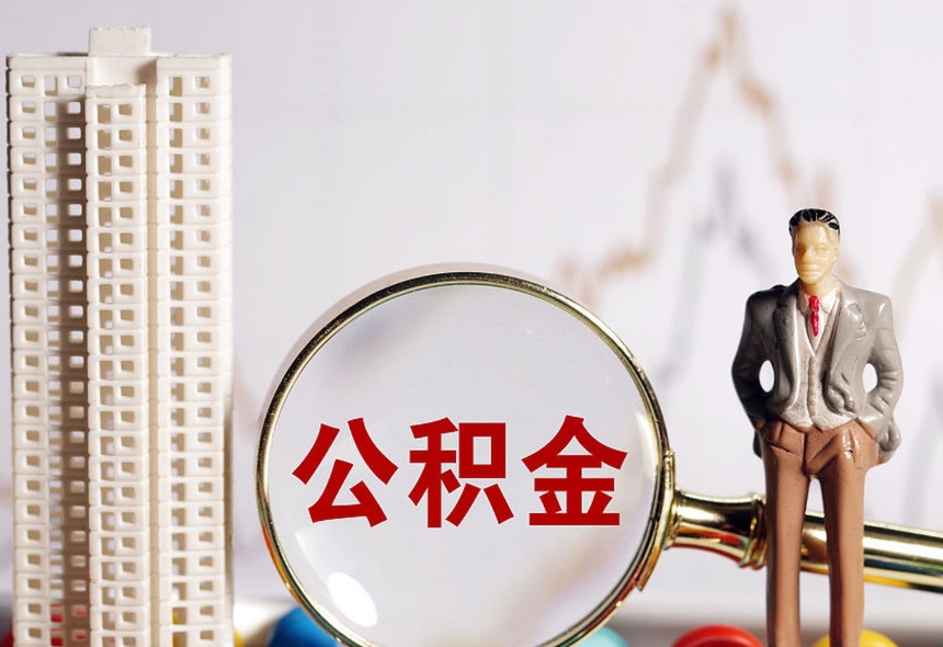 上海今日A股三大指数收盘解析：上证微跌0.2%，创业板回调超0.8%，市场震荡如何应对？
